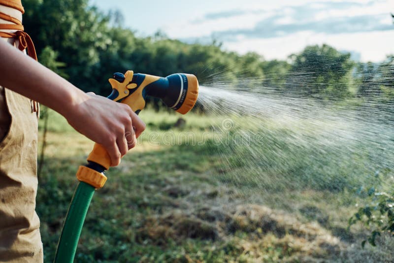 Woman Watering Tree in Garden Countryside Summer Agriculture Stock ...