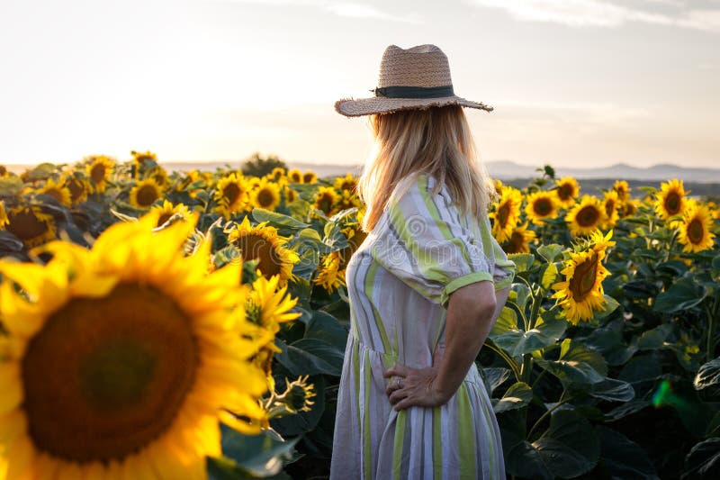 373 Sunflower Wearing Hat Stock Photos - Free & Royalty-Free Stock ...