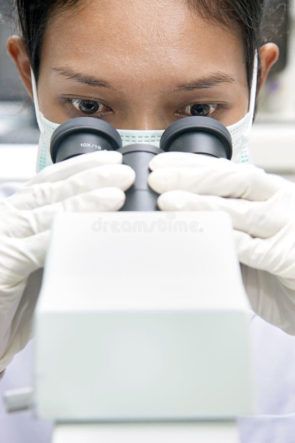 Woman working with a microscope royalty free stock photography