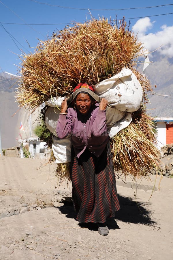 Woman works as porter, Nepal