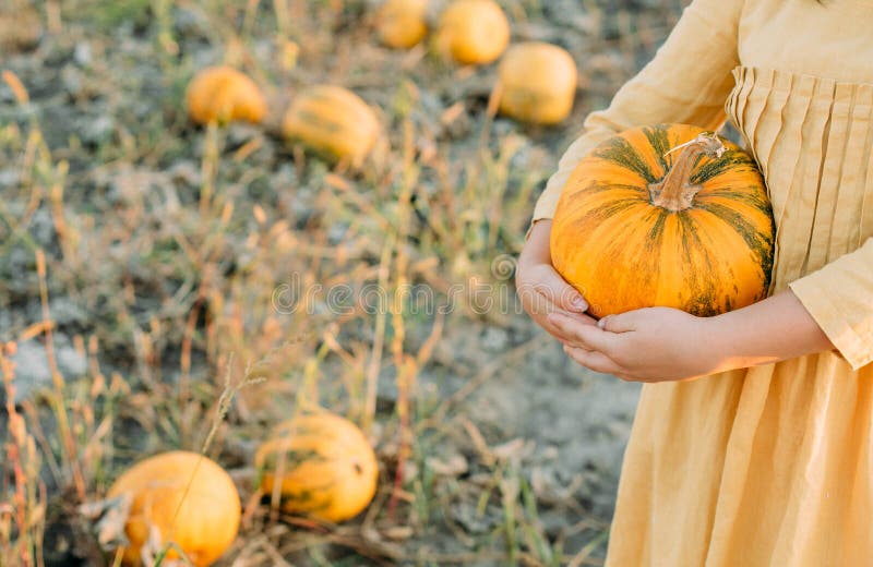 woman with a yellow pumpkin holds hands the subject of accessories for Halloween, harvest, agriculture, plantation, farmland, gourd, seed, people, object, outside, organic, soil, season, natural, holiday, october, decoration, garden, healthy, vegetarian, countryside, outdoor, field, november, color, fruit, growth, art, festival, graphic, thanksgiving, background, autumn, crop, food, rural, squash, orange, vegetable, industry, grain. woman with a yellow pumpkin holds hands the subject of accessories for Halloween, harvest, agriculture, plantation, farmland, gourd, seed, people, object, outside, organic, soil, season, natural, holiday, october, decoration, garden, healthy, vegetarian, countryside, outdoor, field, november, color, fruit, growth, art, festival, graphic, thanksgiving, background, autumn, crop, food, rural, squash, orange, vegetable, industry, grain