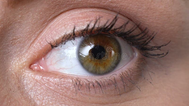 Womans eye closeup, vision examination, anti-allergic cosmetics, ophthalmology