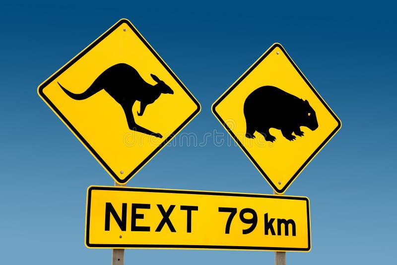 wombat för varning för Australien kängurutecken royaltyfria bilder wombat för varning för Australien kängurutecken royaltyfria bilder