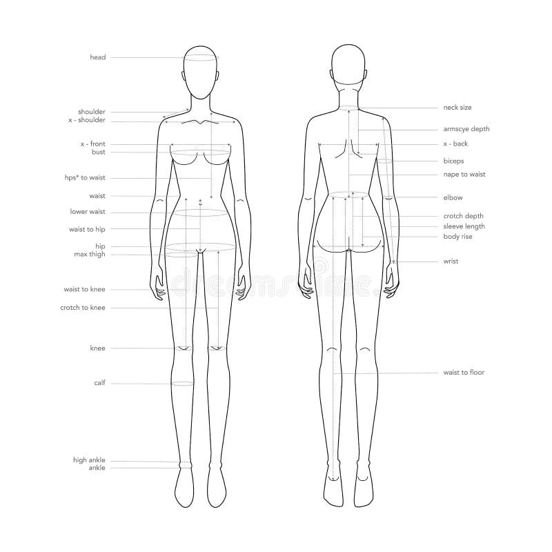 Women Body Parts Terminology Measurements Illustration for Clothes and  Accessories Production Fashion Lady Size Chart Stock Illustration -  Illustration of female, back: 206826451