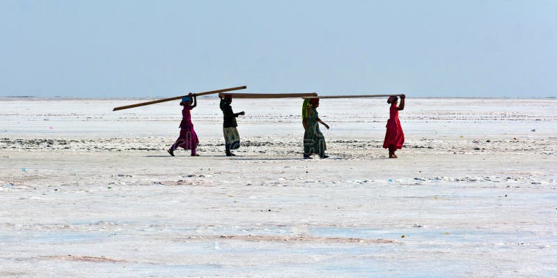 Women carrying plywood on their heads in the salt marsh desert of the Rann of Kutch, in Gujarat, India. The construction materials were used for the Rann Utsav (festival of the Rann), an annual 3 day festival where tourists from India and abroad get a taste of the local culture, cuisine and hospitality. Women carrying plywood on their heads in the salt marsh desert of the Rann of Kutch, in Gujarat, India. The construction materials were used for the Rann Utsav (festival of the Rann), an annual 3 day festival where tourists from India and abroad get a taste of the local culture, cuisine and hospitality.