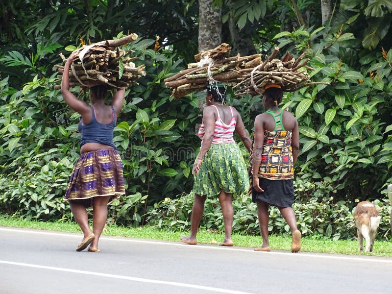 Africa Burkina Fasoview Of Overloaded African Vehicle Carrying Firewood  Logs High-Res Stock Photo - Getty Images