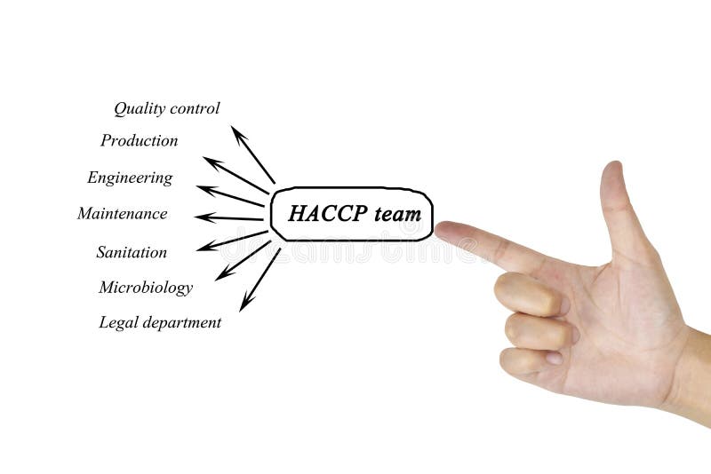 Women hand writing element of HACCP team for business concept and use in manufacturing(Training and Presentation)