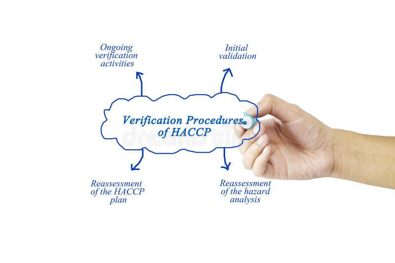 Verification process. Verification procedure. Verification and validation. Verification. Верификационная теория внушения а.м Свядоща.