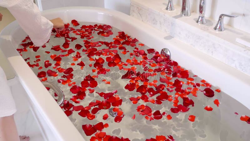 Women Hands in Bathrobe Prepare Red Rose Petals on Bath for Photosession