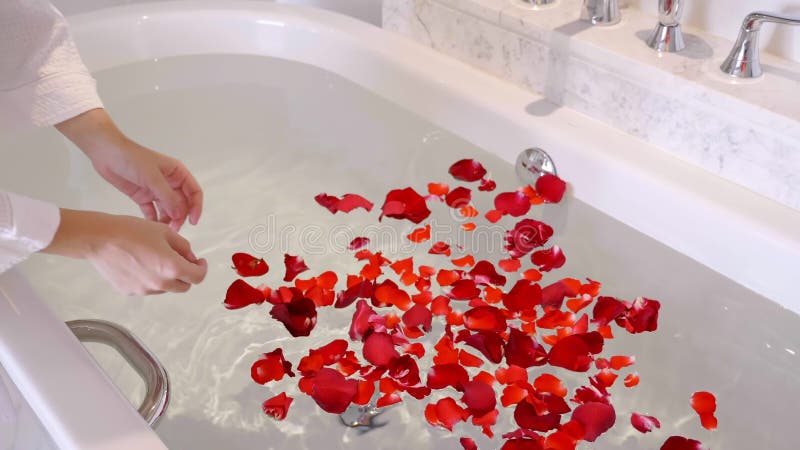 Women Hands Scattering Red Rose Petals on a Bath Filled with Clear Water