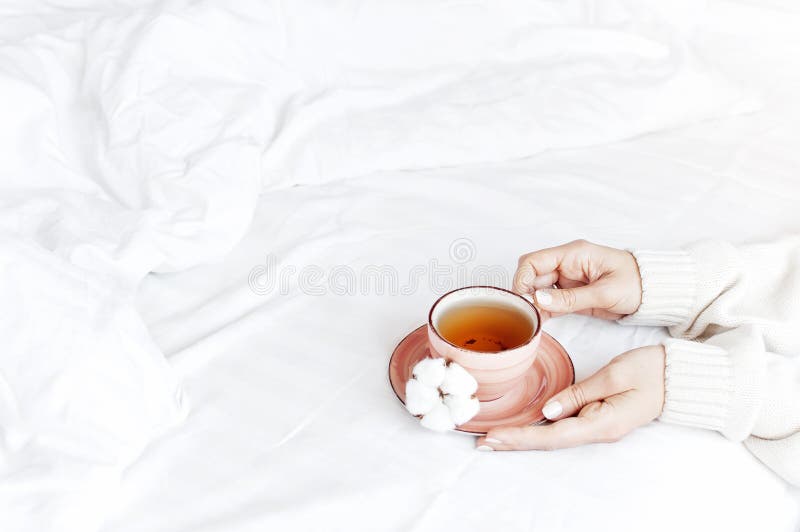 Women hands in white knitted sweater hold cup of hot tea on saucer with delicate cotton flower in the bed. Cozy morning breakfast