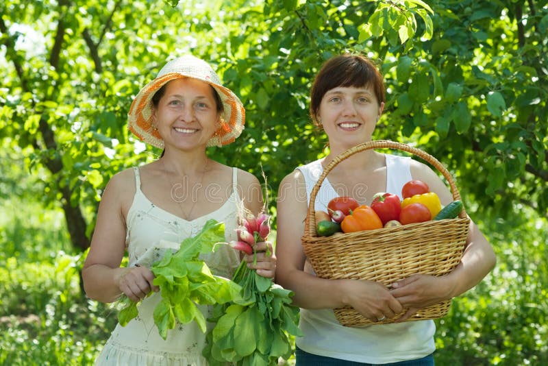 Women with harvested vegetables in garden stock image Women with harvested vegetables in garden stock image