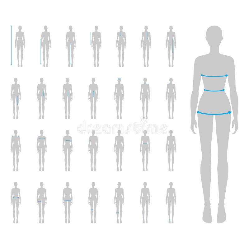 Man body measurement chart taking Royalty Free Vector Image