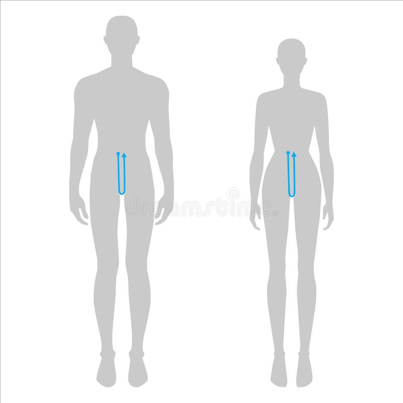 How to Use a Body Measurement Chart + Printable for Men & Women  Body  measurement chart, Body measurements chart printable, Body measurements