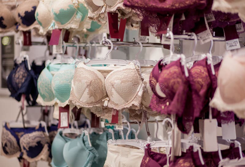 Women`s Bras for Sale in Market. Vareity of Bra Hanging in Lingerie