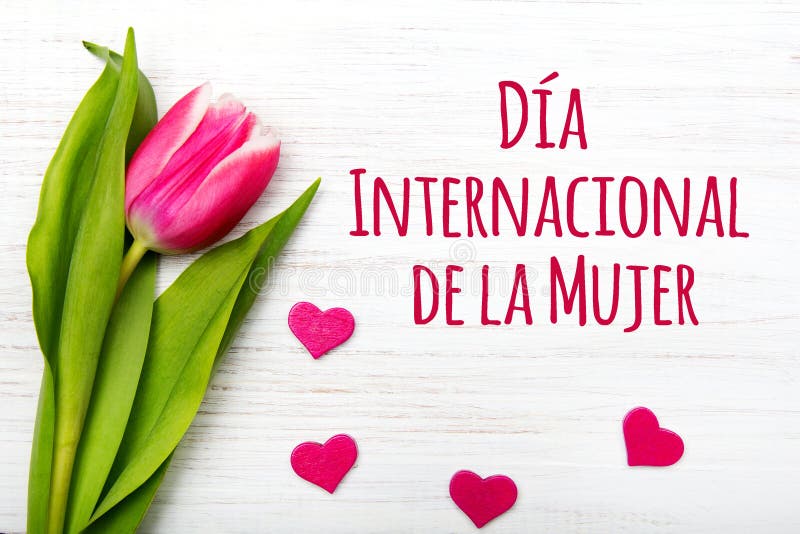 Women`s day card with Spanish words `Día International de la Mujer`. Tulip flower and small heart on white wooden background stock photo