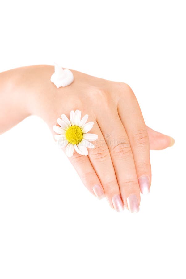 Women s hand with cream and chamomile