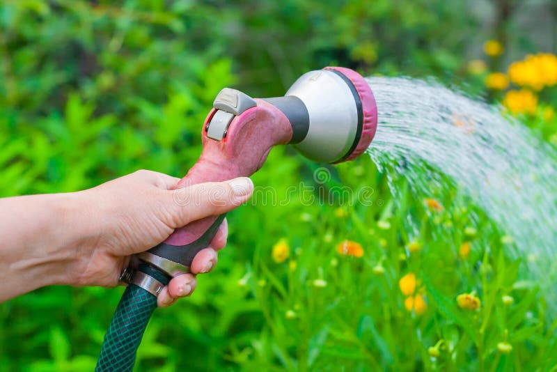 Women`s hand with a sprinkler watering a yellow flowers in the garden stock photos Women`s hand with a sprinkler watering a yellow flowers in the garden stock photos