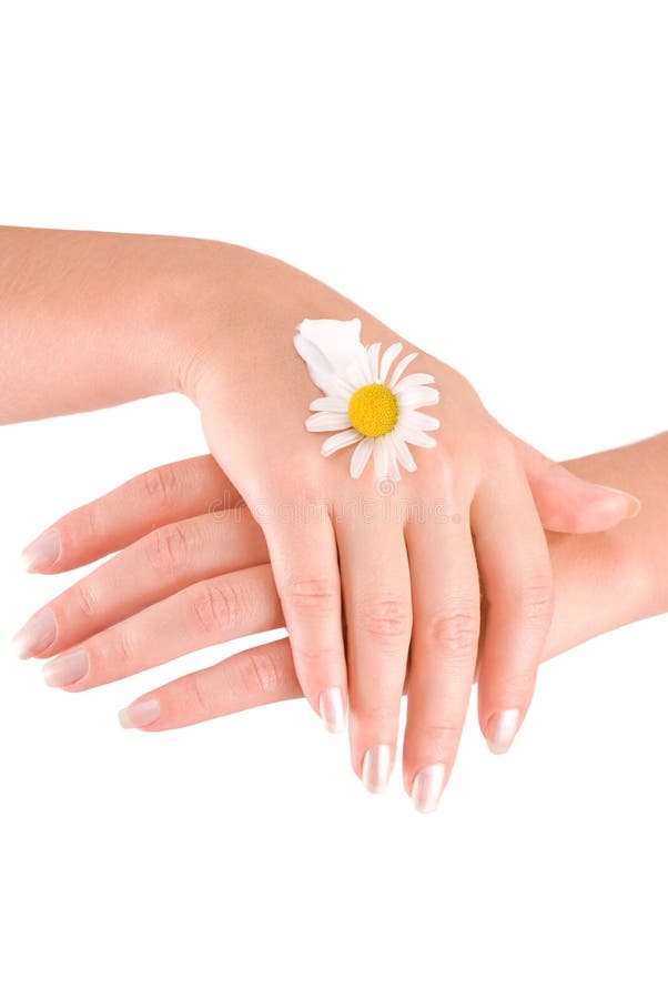 Women s hands with cream