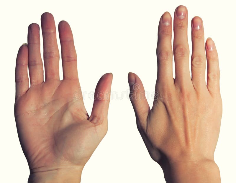 Women's Hands, Palm And Back Stock Photo Image 53496035