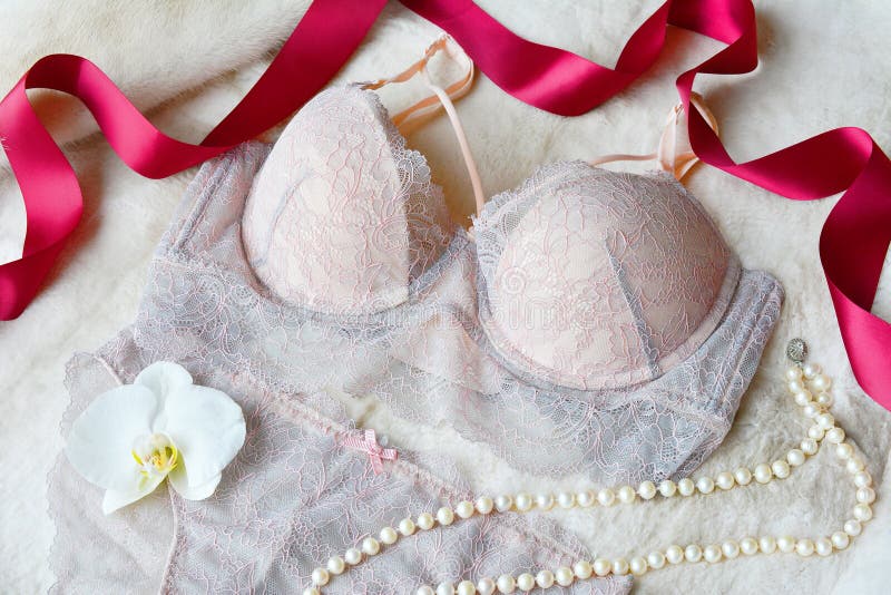 Women`s Lace Underwear Gentle Pink Color: Bra and Panties. Stock Photo -  Image of accessory, foundation: 113170974