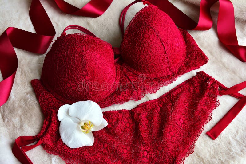 2,062 Color Red Lingerie Stock Photos - Free & Royalty-Free Stock Photos  from Dreamstime
