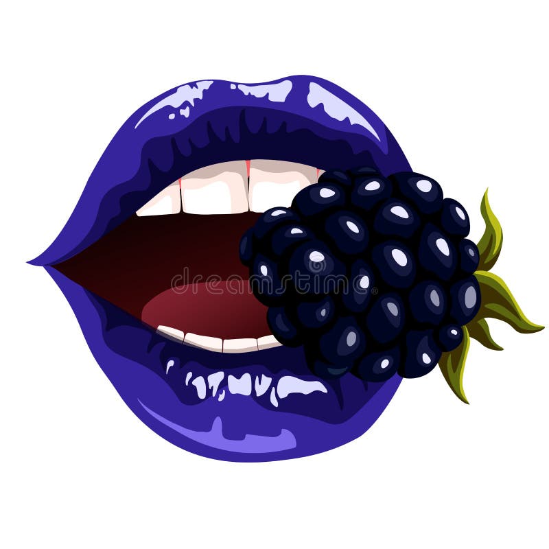 Women`s Lips with Blackberry Stock Vector Illustration of beauty