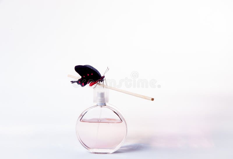Women`s Perfume in Beautiful Bottle Isolated on White Stock Photo