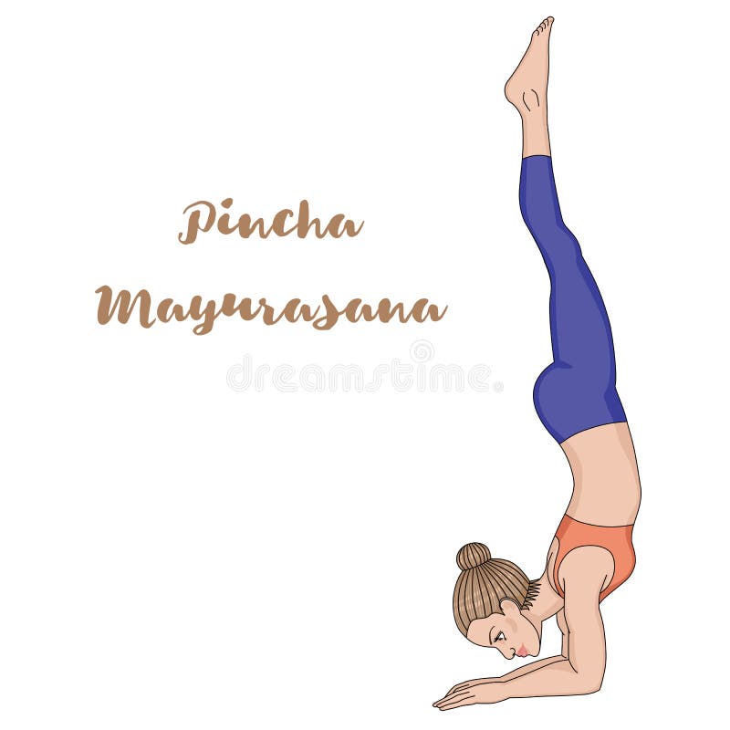 How To Do The Pincha Mayurasana And What Are Its Benefits | Sadhak Anshit  Yoga Foundation® in Kanpur