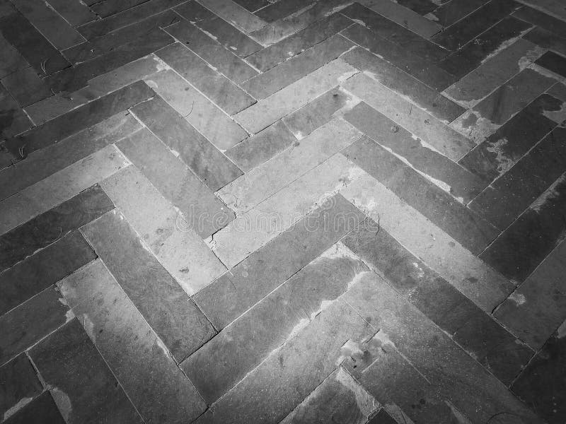 Women silhouette shadow human being standing background abstract royalty free stock photo