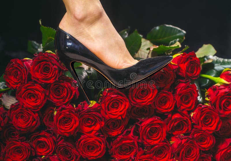 Bridal Shoes and Roses. White Heels Over Hot Pink Flowers Stock Image -  Image of closeup, event: 37914553