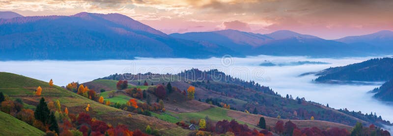 Wonderful Autumn Countryside In Mountains At Dawn Stock Photo Image