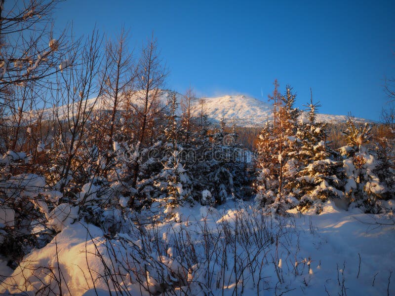 Vysoký tatry, pozdĺž,, sú prírodné z cestovný ruch v vysoký tatry.