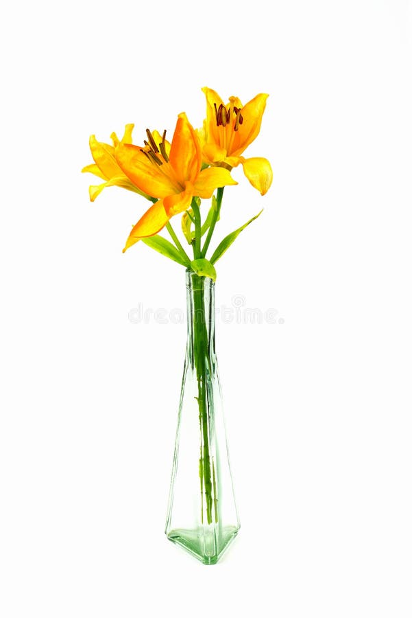 Wonderful Golden Lilies stock photo. Image of leafy 164347380