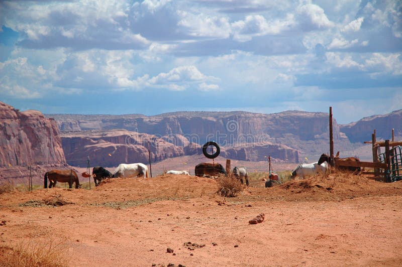 Horses To Rent in Monument Valley , National Park in USA Stock Photo - Image of desert, corral: 138177252 Horses To Rent in Monument Valley , National Park in USA Stock Photo - Image of desert, corral: 138177252