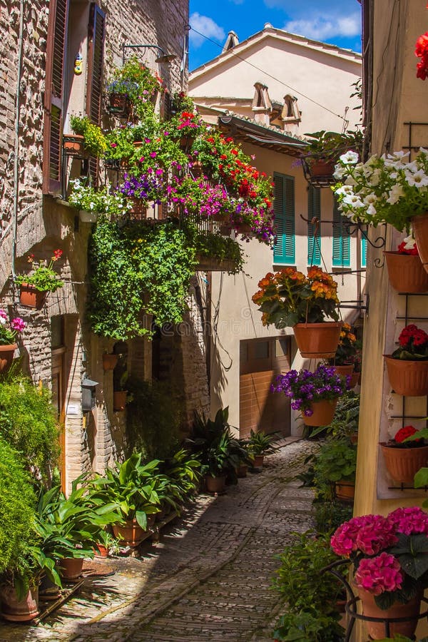 Wonderful and romantic alley with flowers, Spello