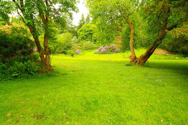 Garden Lawn stock image. Image of foliage, green, architecture - 16002425