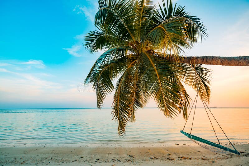 Wonderful Summer Vacation Background, Beach with Swing on Palm Tree and Beautiful Sunset View of Sea and Sky. Stock Image - Image of beach, palm: 137056383 Wonderful Summer Vacation Background, Beach with Swing on Palm Tree and Beautiful Sunset View of Sea and Sky. Stock Image - Image of beach, palm: 137056383