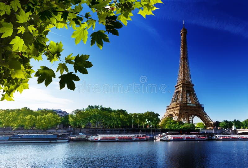 Wonton w Paryż z wieżą eifla