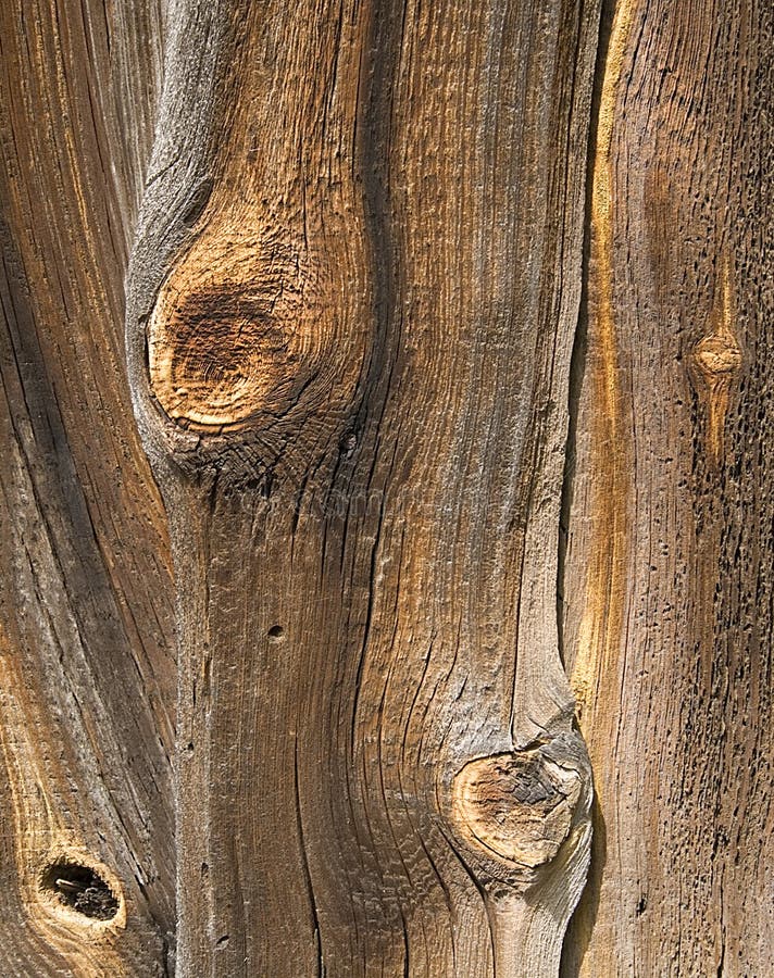 Wood