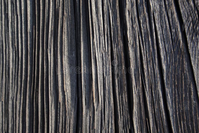 Wood