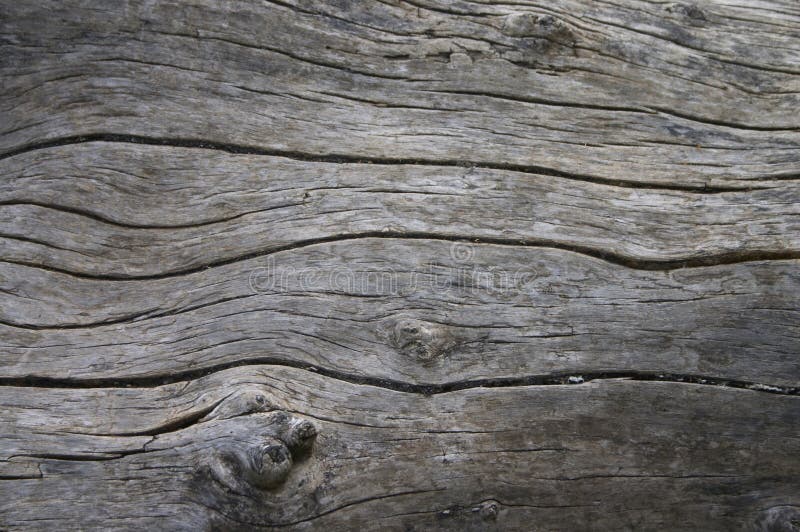 Wood