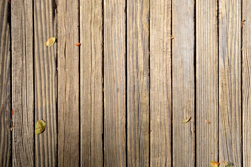 Di legno foglie sul.