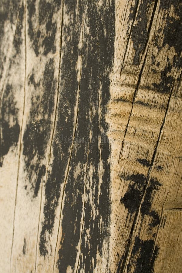 11,874 Wood Beach Plank Background Stock Photos Free & RoyaltyFree Stock Photos from Dreamstime