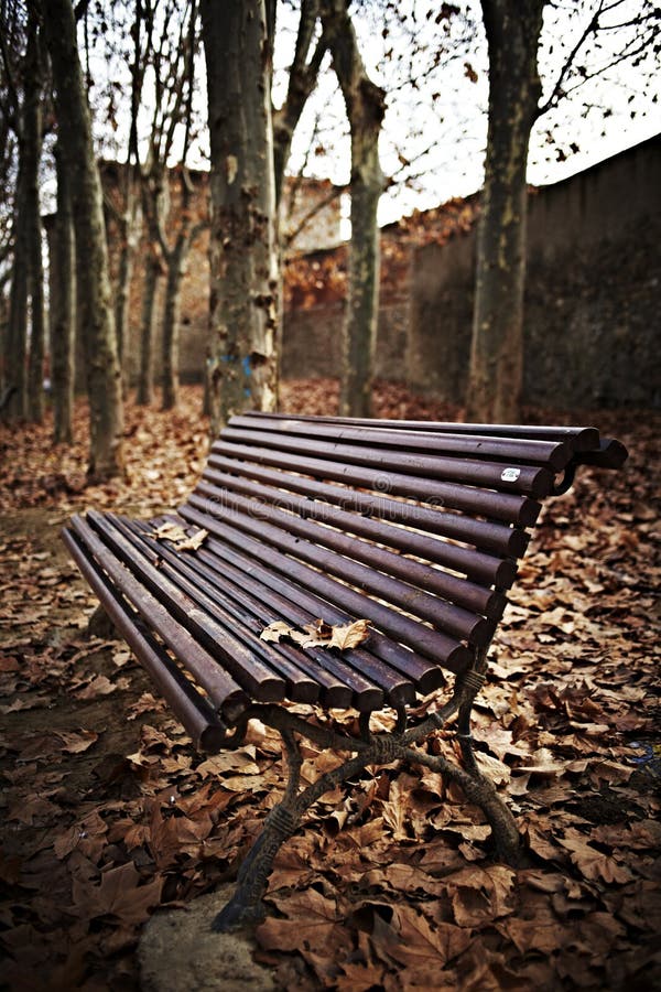 Wood bench with autumn leaves