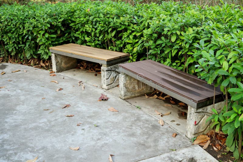 Wood bench and tree. stock image. Image of outdoor, evergreen 262245925
