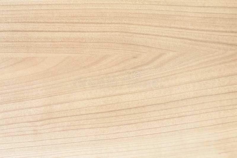 Wood blonde texture stock image. Image of smooth, material 48482557