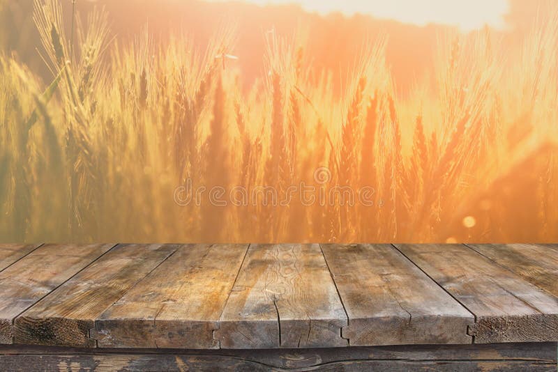 Wood board table in front of field of wheat on sunset light. Ready for product display montages