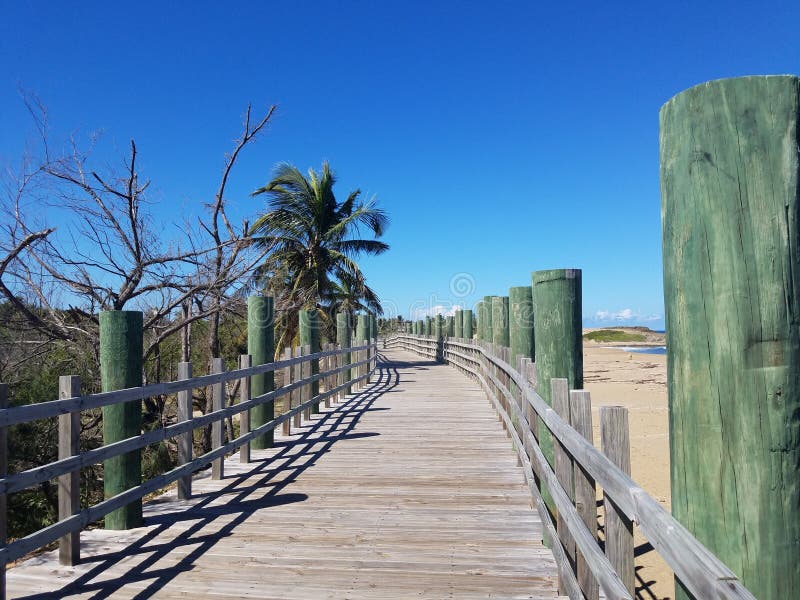 Wood boardwalk or path with trees at beach in Isabela, Puerto Rico
