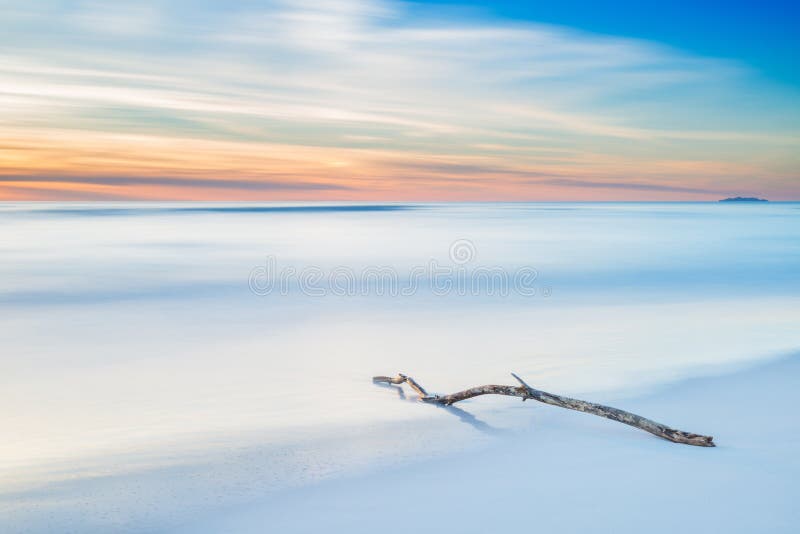 Wood branch on a white beach on twilight sunset stock images Wood branch on a white beach on twilight sunset stock images
